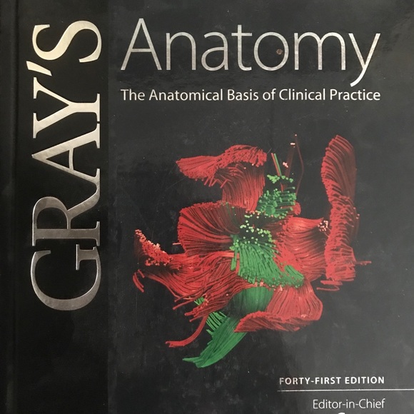 Gray’s Anatomy Forty-First edition - Picture 2 of 7